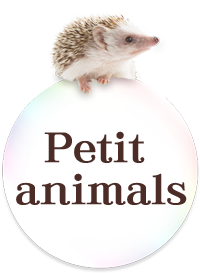 petit animals room