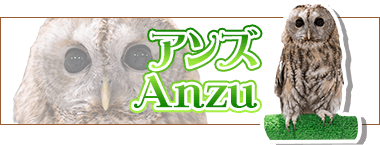 アニマルルームいけもふ