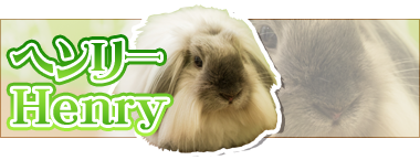 アニマルルームいけもふ