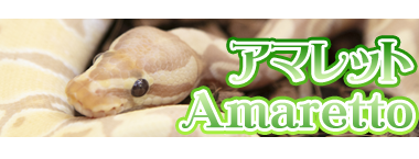 アニマルルームいけもふ