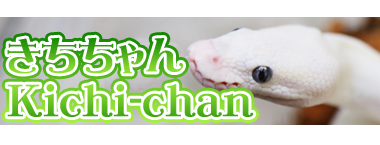 アニマルルームいけもふ