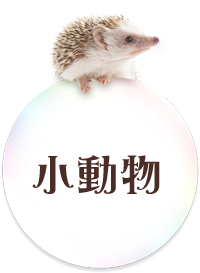 小動物へ