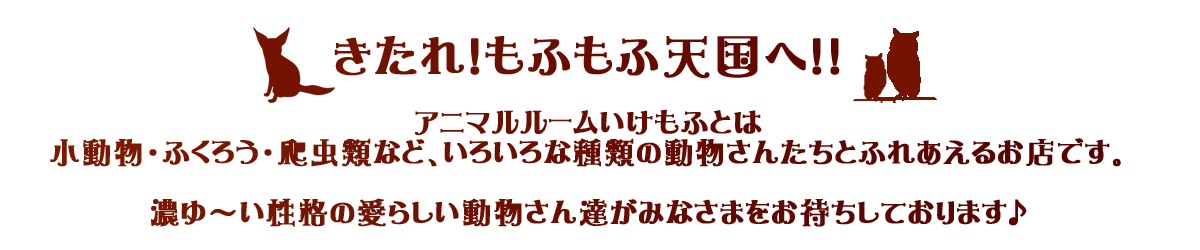 きたれ！もふもふ天国へ！！