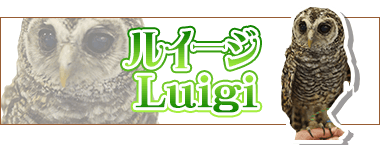 String 23 Data Www Ike Htdocs Sp String Data Www Ike Htdocs 小さな