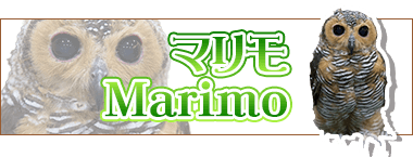 String 23 Data Www Ike Htdocs Sp String Data Www Ike Htdocs 小さな